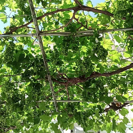 New! Terrazen - Free Car Parking * Σπλιτ