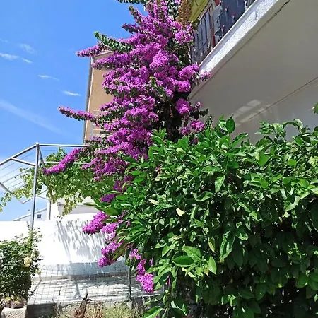 Διαμέρισμα New! Terrazen - Free Car Parking Σπλιτ